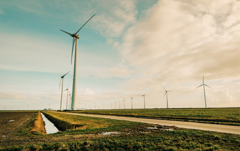 Tranzizione ecologica entro il 2050: energia eolica